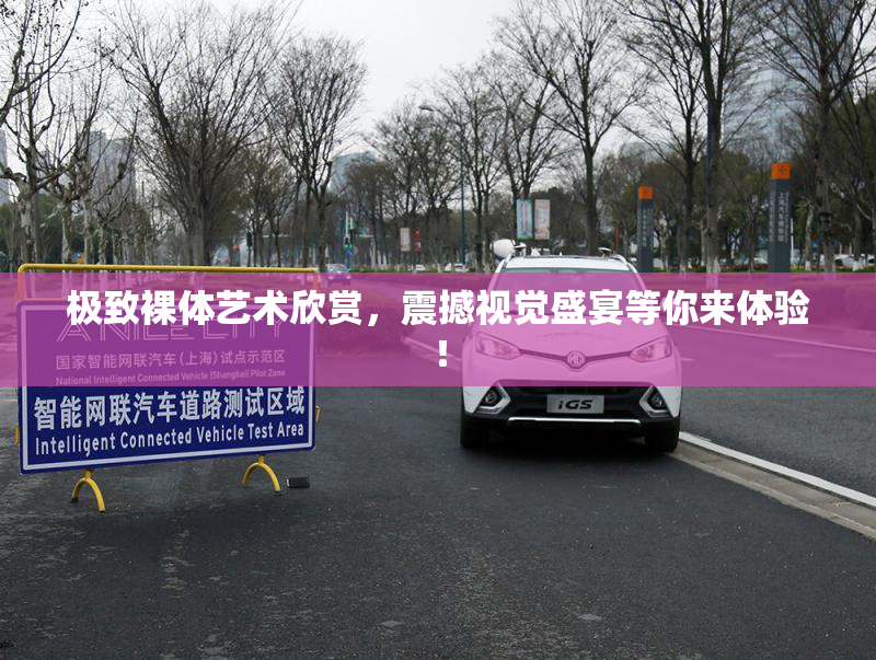 极致裸体艺术欣赏，震撼视觉盛宴等你来体验！