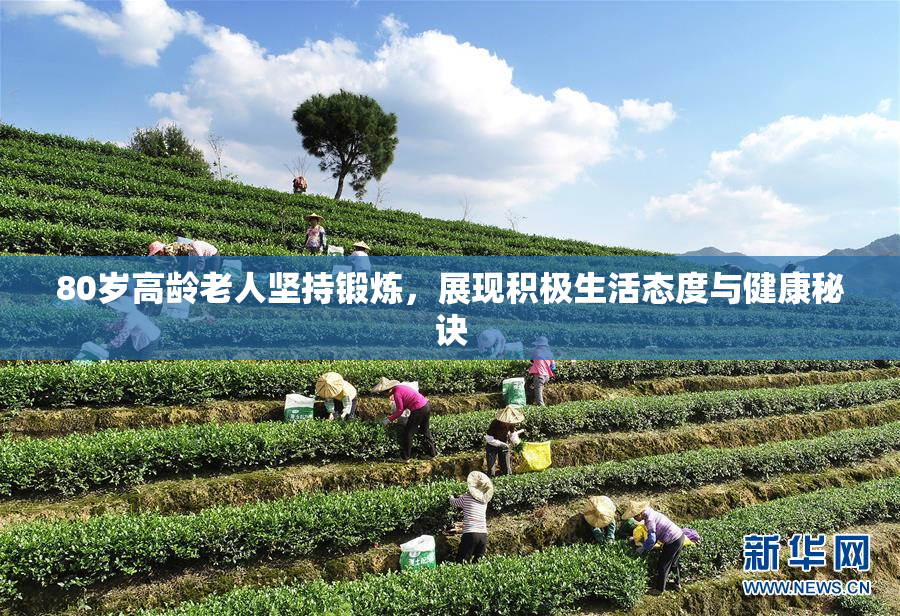 80岁高龄老人坚持锻炼，展现积极生活态度与健康秘诀
