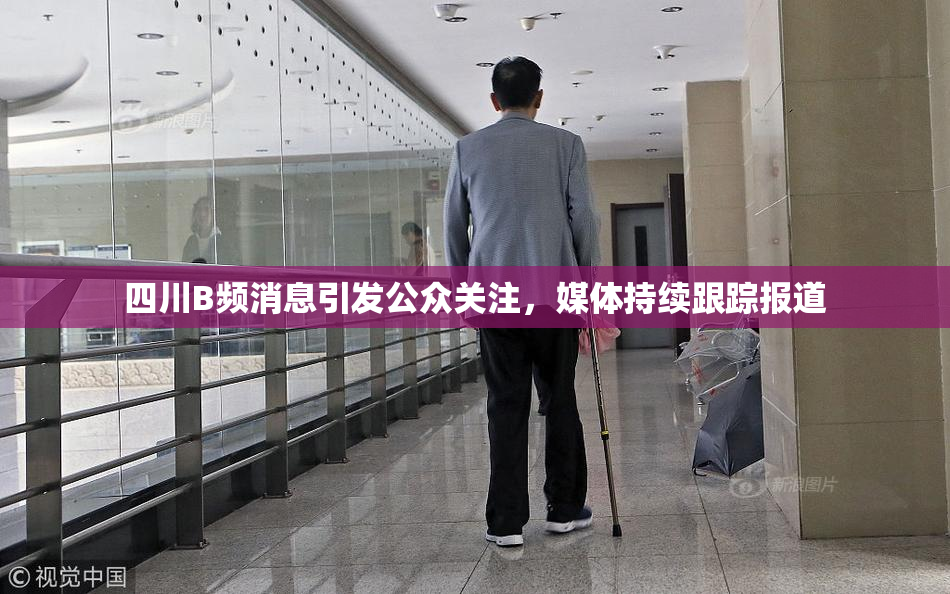 四川B频消息引发公众关注，媒体持续跟踪报道