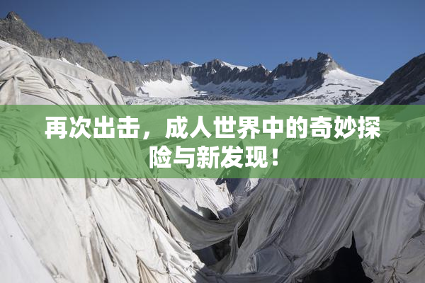 再次出击，成人世界中的奇妙探险与新发现！