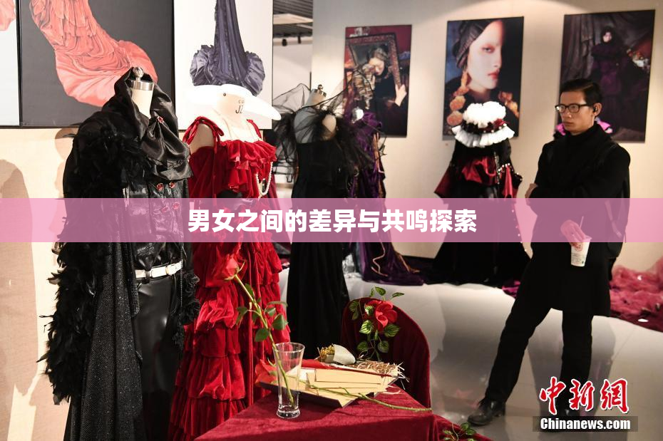 男女之间的差异与共鸣探索