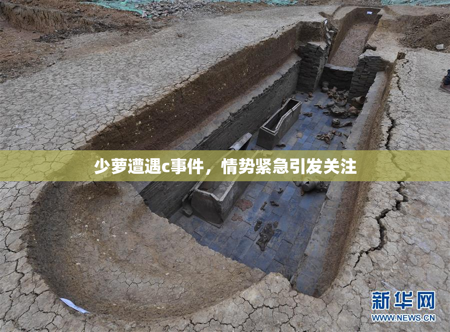 少萝遭遇c事件，情势紧急引发关注