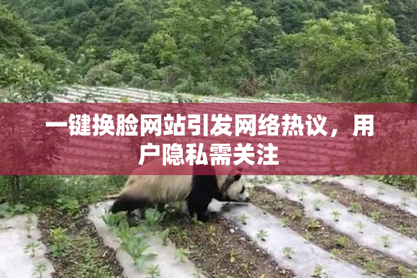 一键换脸网站引发网络热议，用户隐私需关注