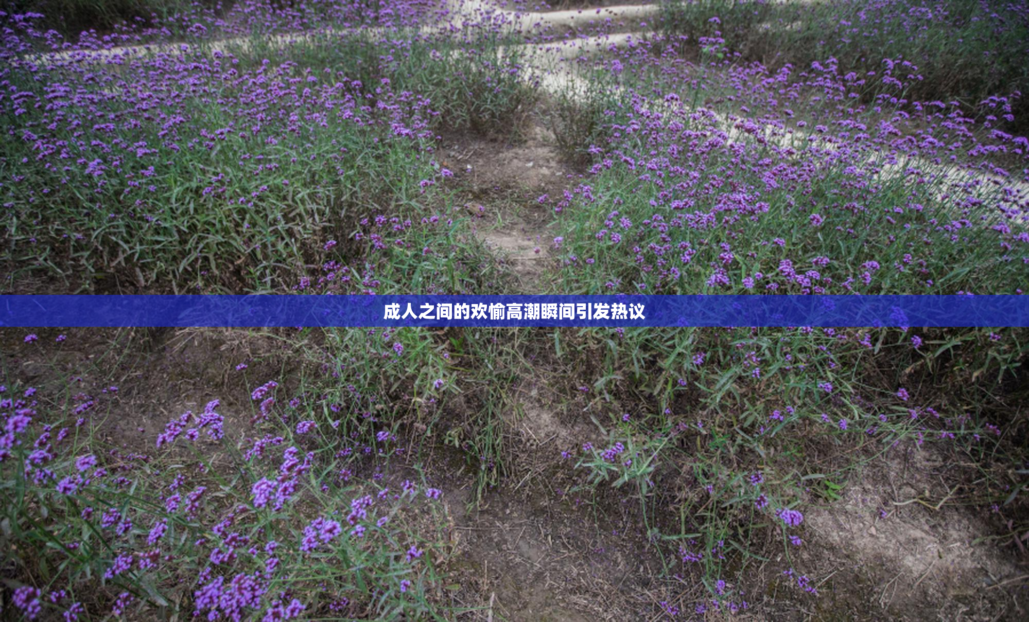 成人之间的欢愉高潮瞬间引发热议