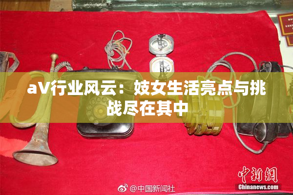 aV行业风云：妓女生活亮点与挑战尽在其中