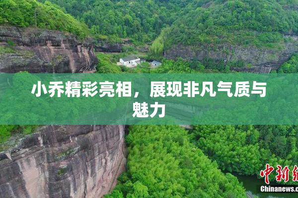 小乔精彩亮相，展现非凡气质与魅力