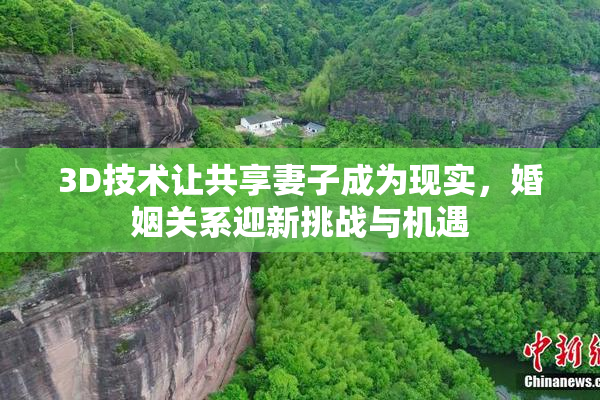 3D技术让共享妻子成为现实，婚姻关系迎新挑战与机遇
