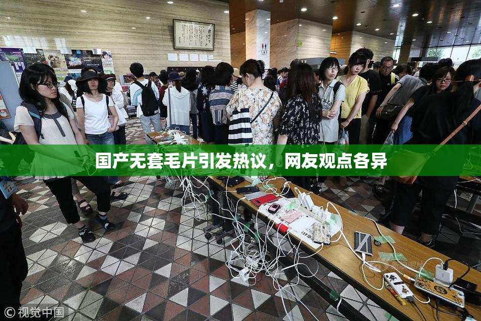 国产无套毛片引发热议，网友观点各异