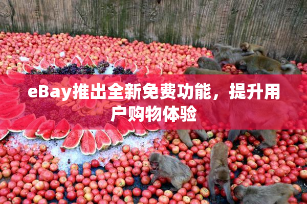 eBay推出全新免费功能，提升用户购物体验