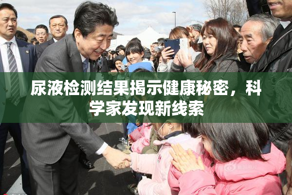 尿液检测结果揭示健康秘密，科学家发现新线索