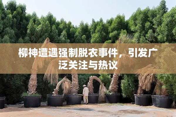 柳神遭遇强制脱衣事件，引发广泛关注与热议