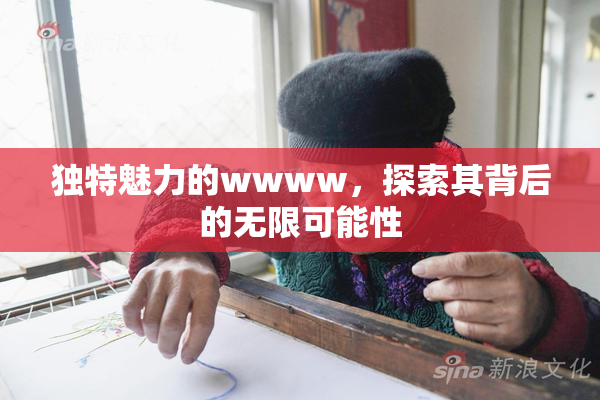独特魅力的wwww，探索其背后的无限可能性
