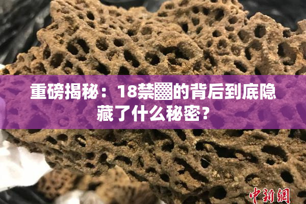 重磅揭秘：18禁▓的背后到底隐藏了什么秘密？