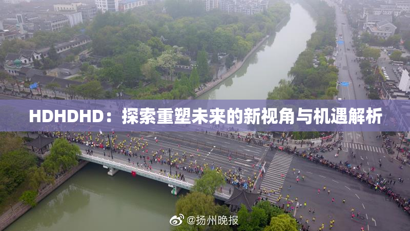 HDHDHD：探索重塑未来的新视角与机遇解析