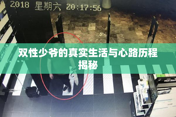 双性少爷的真实生活与心路历程揭秘