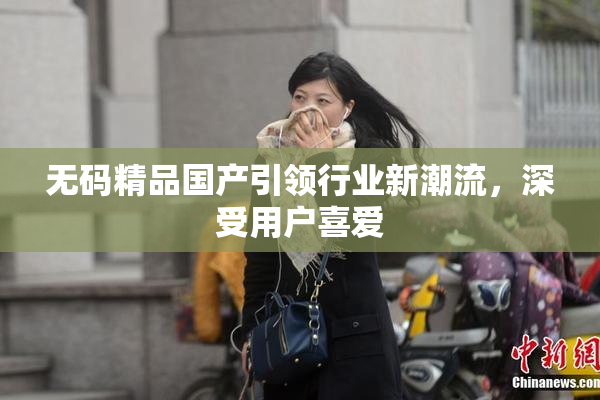 无码精品国产引领行业新潮流，深受用户喜爱