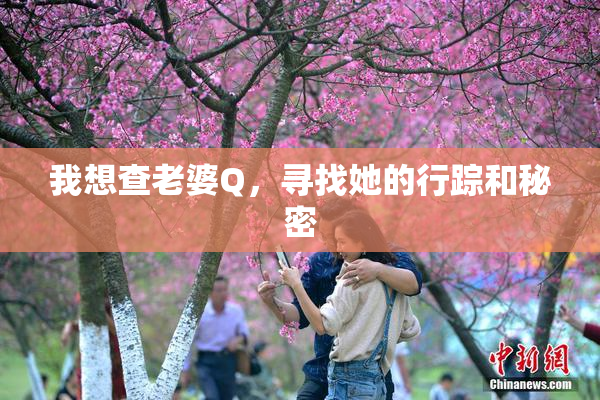 我想查老婆Q，寻找她的行踪和秘密
