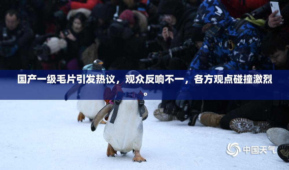 国产一级毛片引发热议，观众反响不一，各方观点碰撞激烈。