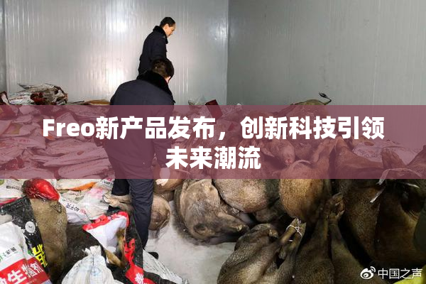 Freo新产品发布，创新科技引领未来潮流