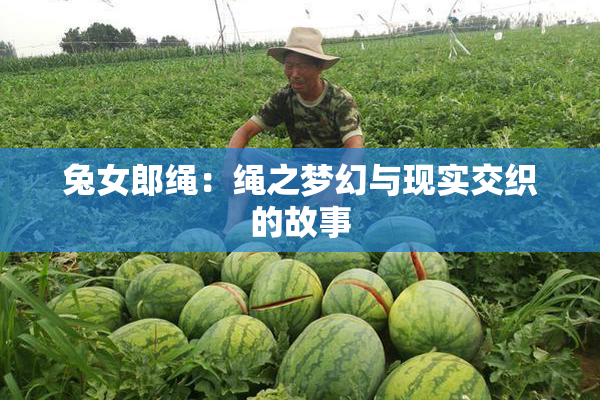 兔女郎绳：绳之梦幻与现实交织的故事