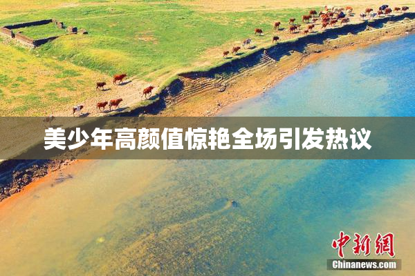 美少年高颜值惊艳全场引发热议