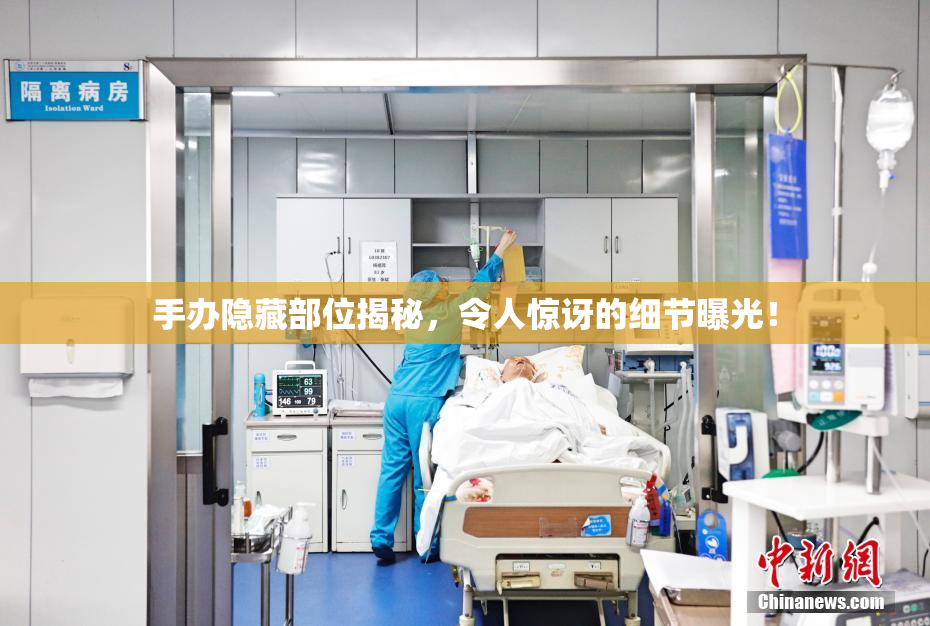 手办隐藏部位揭秘，令人惊讶的细节曝光！
