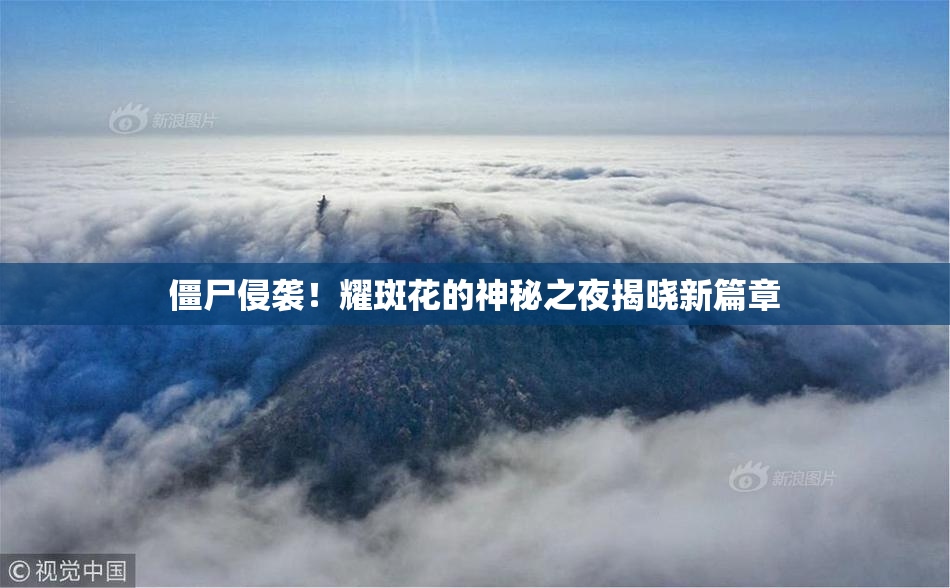 僵尸侵袭！耀斑花的神秘之夜揭晓新篇章