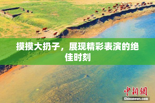 摸摸大扔子，展现精彩表演的绝佳时刻