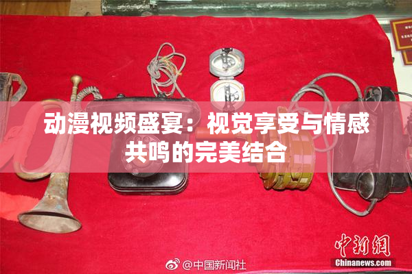 动漫视频盛宴：视觉享受与情感共鸣的完美结合