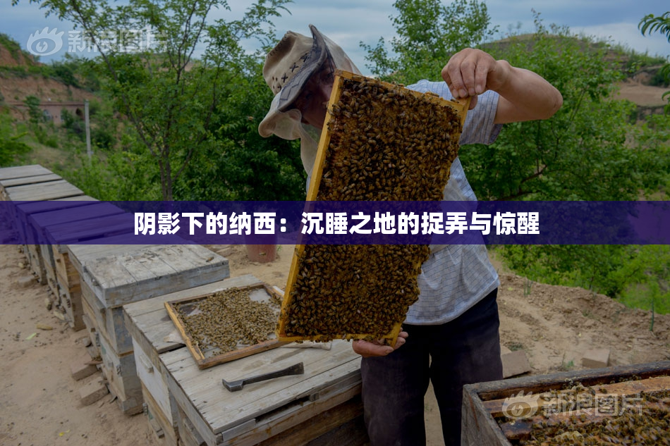 阴影下的纳西：沉睡之地的捉弄与惊醒