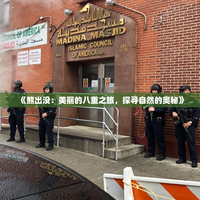 《熊出没：美丽的八重之旅，探寻自然的奥秘》