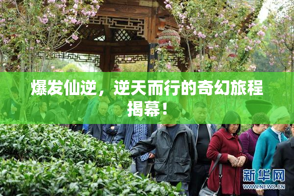 爆发仙逆，逆天而行的奇幻旅程揭幕！