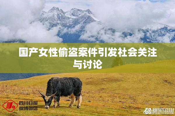 国产女性偷盗案件引发社会关注与讨论