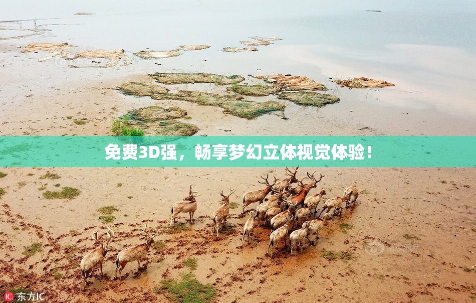 免费3D强，畅享梦幻立体视觉体验！