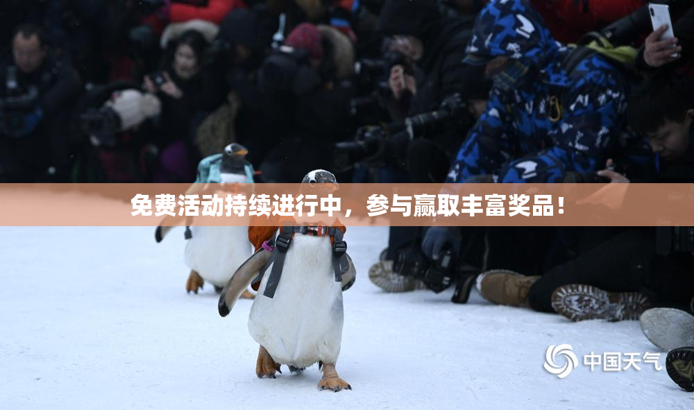 免费活动持续进行中，参与赢取丰富奖品！