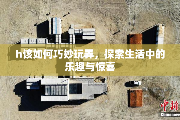 h该如何巧妙玩弄，探索生活中的乐趣与惊喜