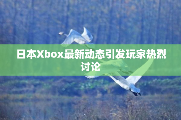日本Xbox最新动态引发玩家热烈讨论