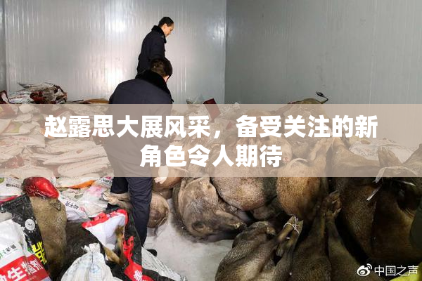 赵露思大展风采，备受关注的新角色令人期待