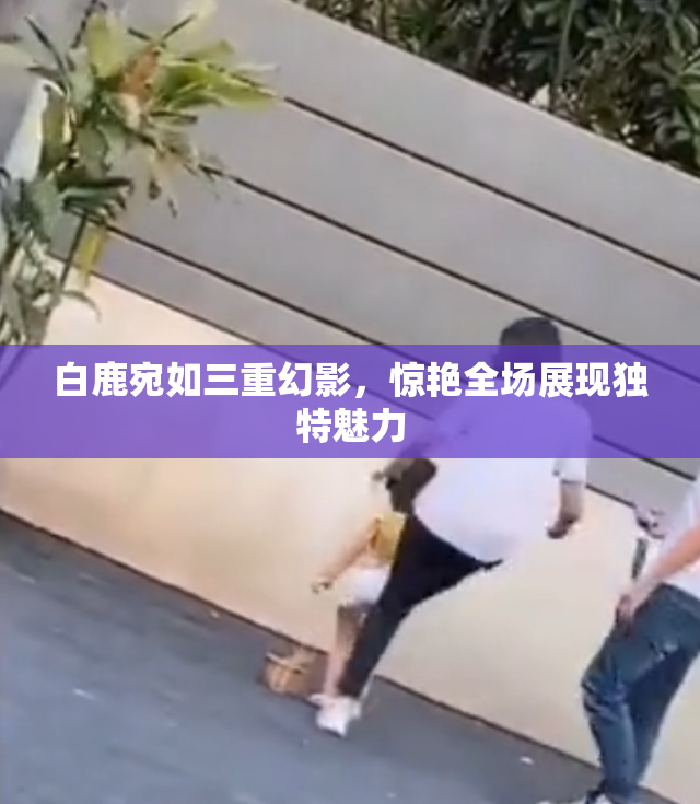 白鹿宛如三重幻影，惊艳全场展现独特魅力