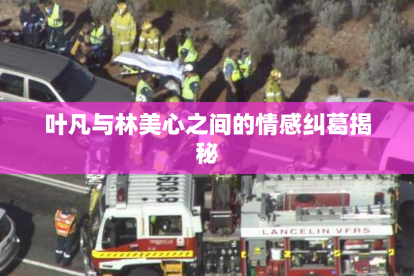 叶凡与林美心之间的情感纠葛揭秘