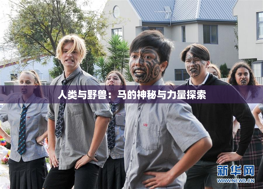 人类与野兽：马的神秘与力量探索