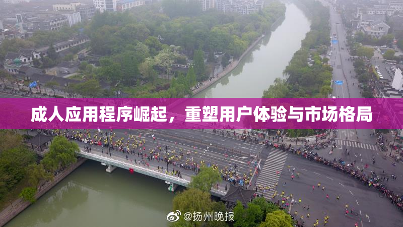 成人应用程序崛起，重塑用户体验与市场格局