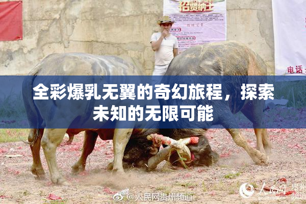 全彩爆乳无翼的奇幻旅程，探索未知的无限可能