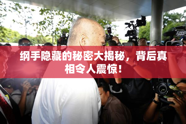 纲手隐藏的秘密大揭秘，背后真相令人震惊！