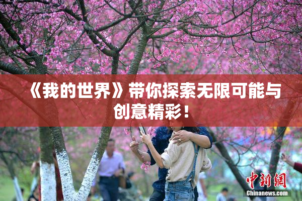 《我的世界》带你探索无限可能与创意精彩！