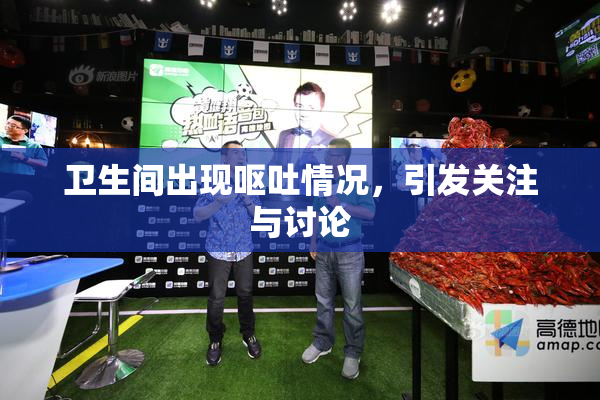 卫生间出现呕吐情况，引发关注与讨论