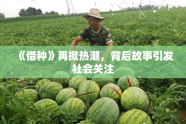 《借种》再掀热潮，背后故事引发社会关注