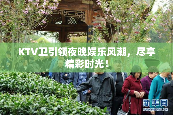 KTV卫引领夜晚娱乐风潮，尽享精彩时光！