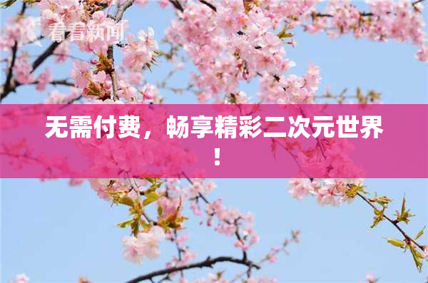 无需付费，畅享精彩二次元世界！