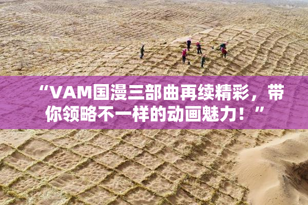 “VAM国漫三部曲再续精彩，带你领略不一样的动画魅力！”
